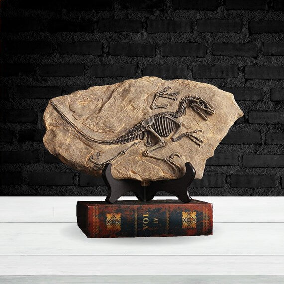 Dinosaur Fossil Decor Dino Gift Animal Figurine Statue Sculpture Unique Decor Objects Decorative & Handcrafted Home Office Shelf Ornament